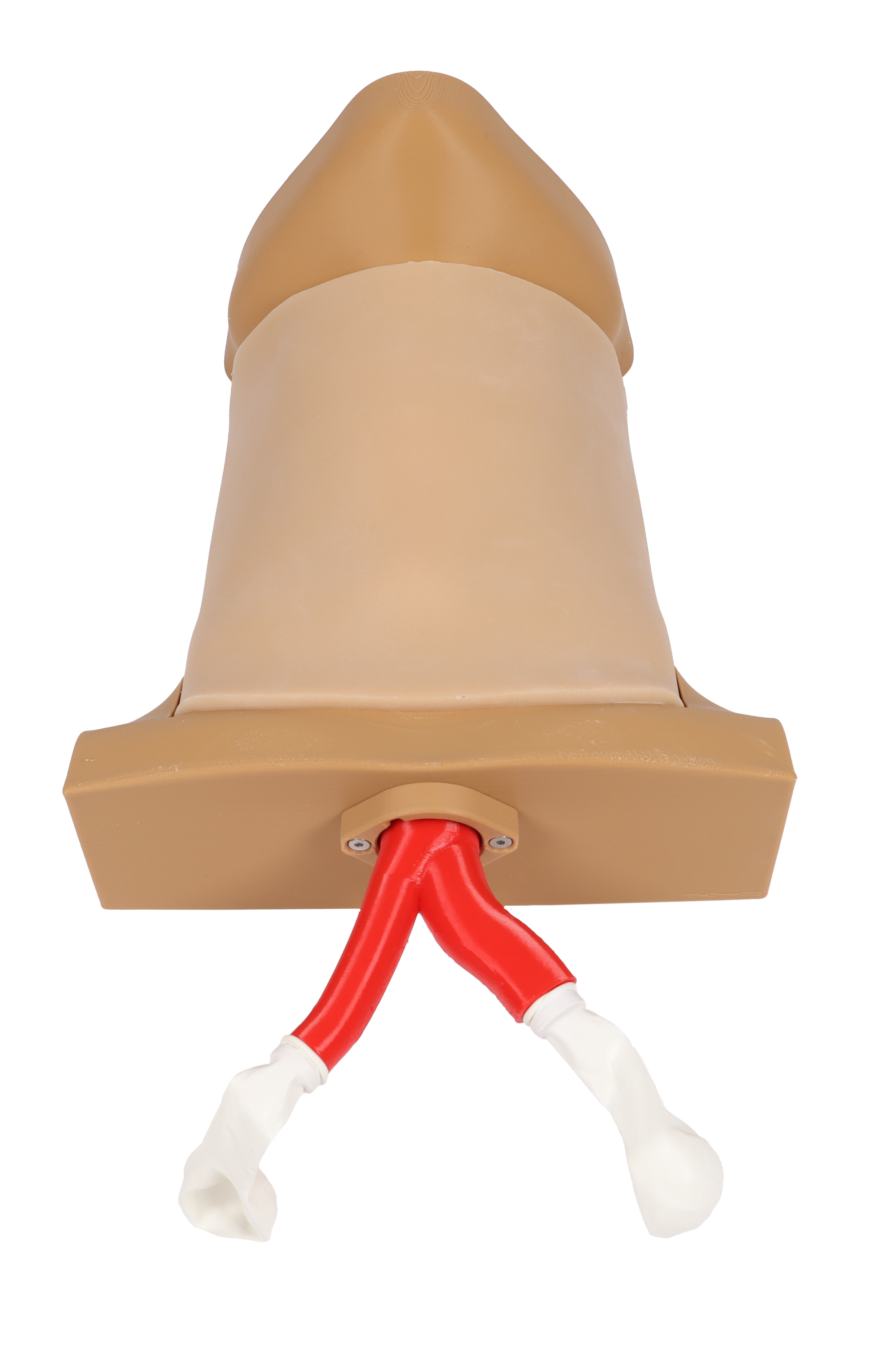 Crico Chris – Koniotomie Task Trainer Crico Chris – Koniotomie Task Trainer