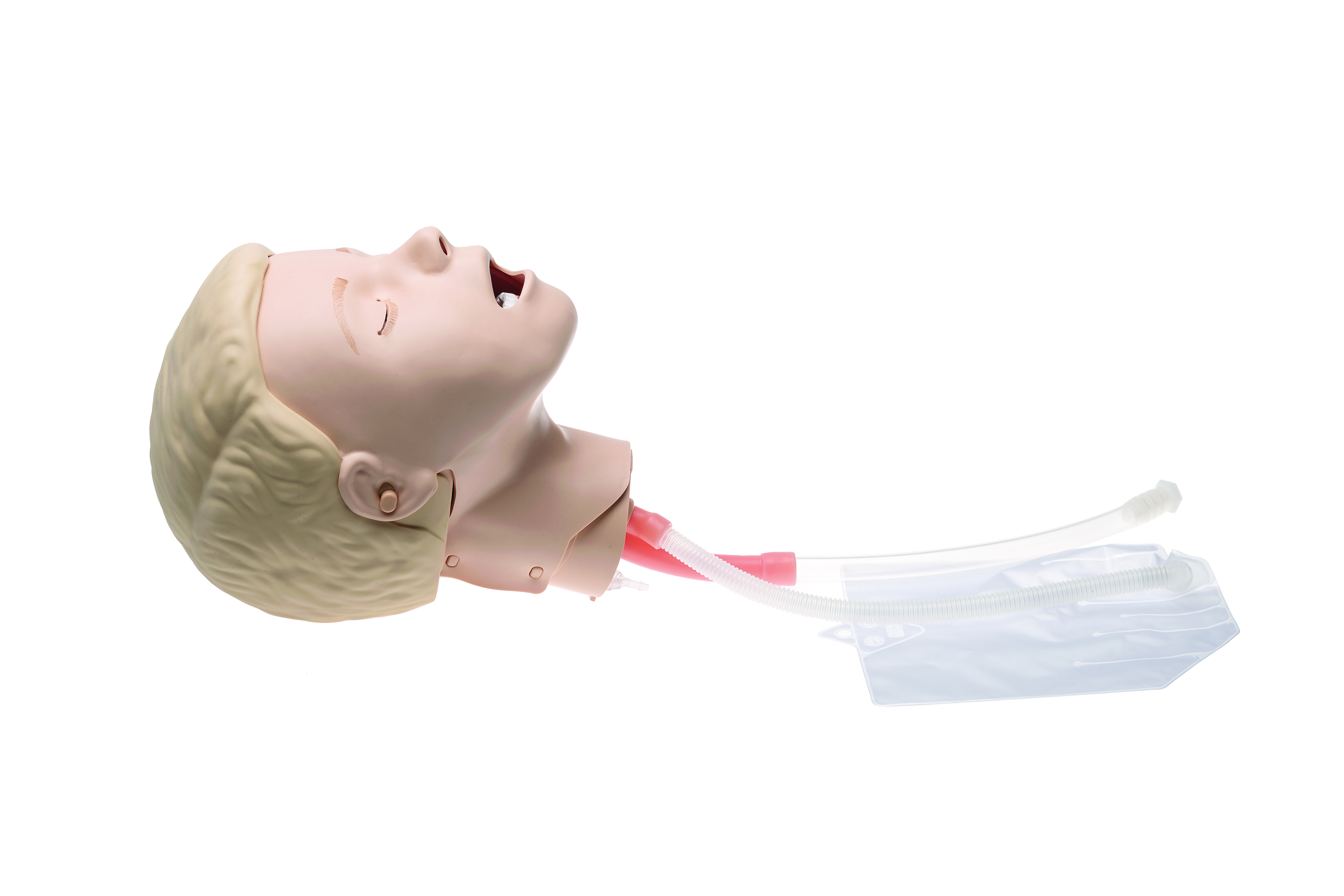 Laerdal Resusci Junior Airway Head