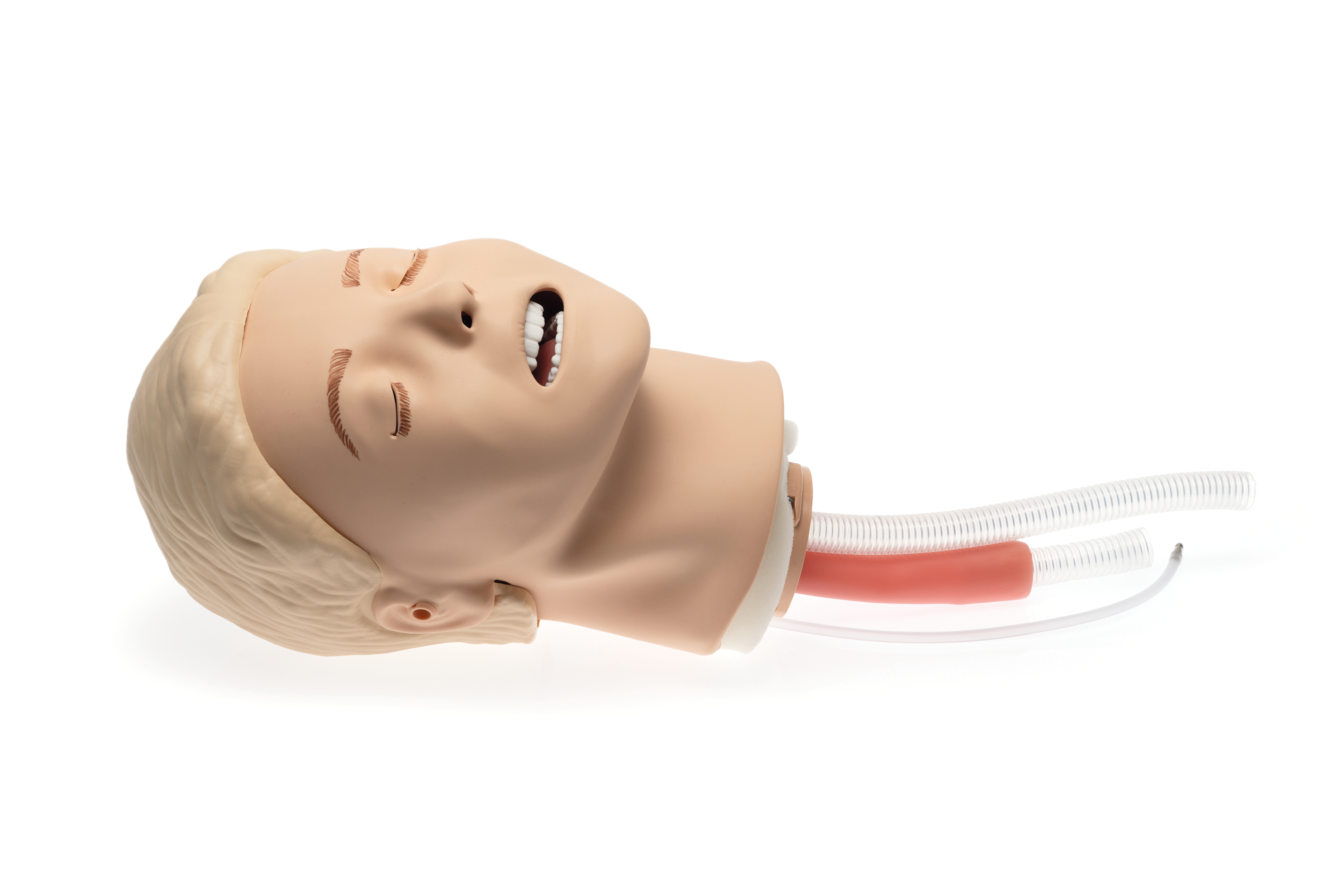 Laerdal Resusci Anne Airway Head Laerdal Resusci Anne Airway Head