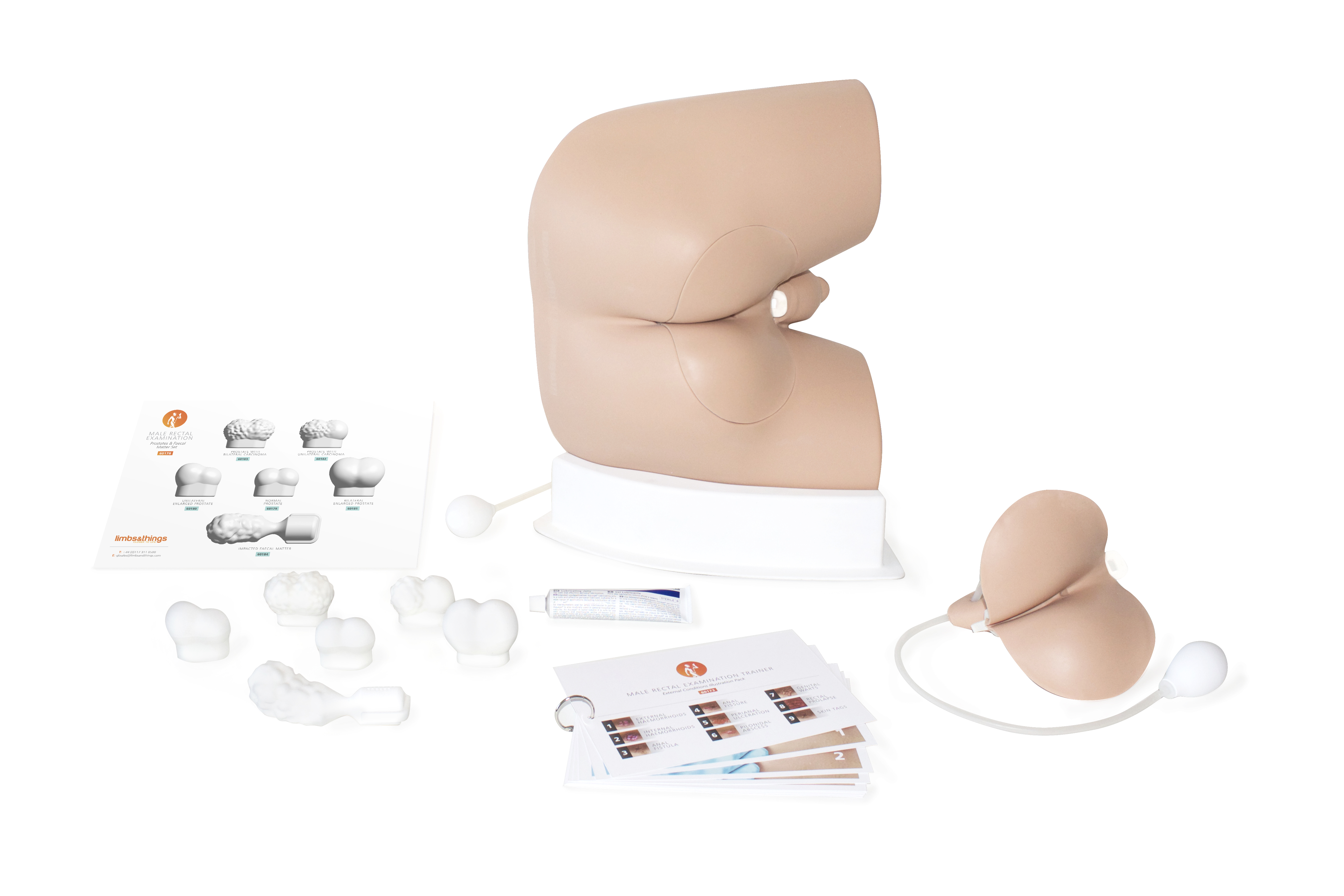 Trainer für die rektale Untersuchung bei Männern Advanced Trainer für die rektale Untersuchung bei Männern Advanced