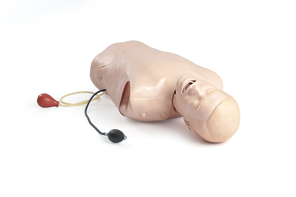 Laerdal Airway Management Trainer Deluxe Laerdal Airway Management Trainer Deluxe