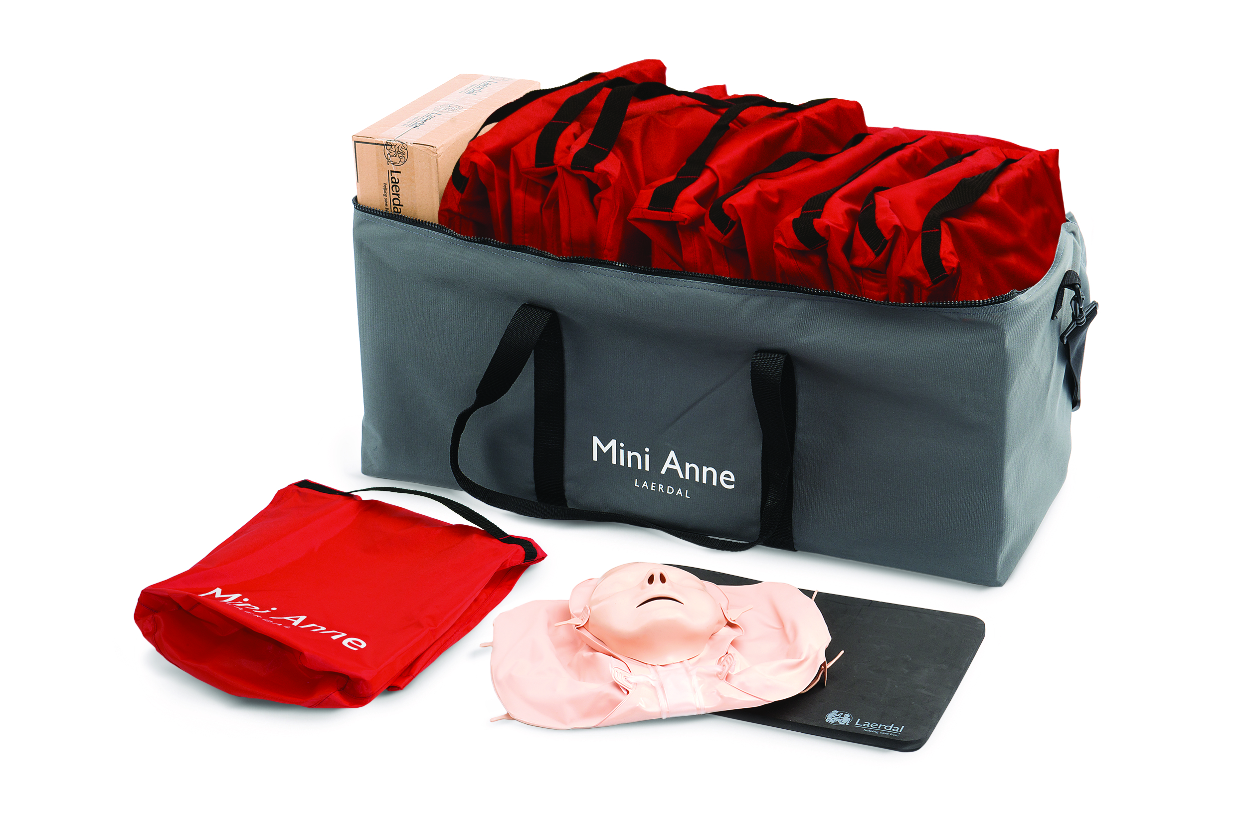 MiniAnne Plus (10 Stück)